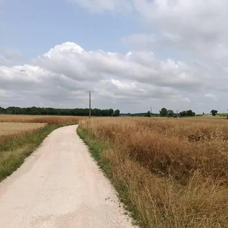 La Petite Maison 펜션 *